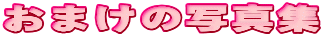 ���܂��̎ʐ^�W
