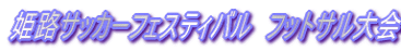 �P�H�T�b�J�[�t�F�X�e�B�o���@�t�b�g�T�����