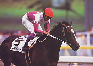 �_�[�r�[�A�S�[��