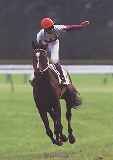 �_�[�r�[�A�E�C�j���O����