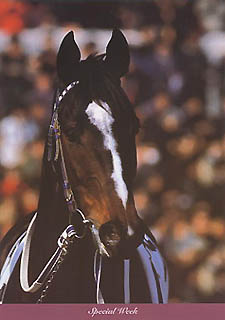 �_�|�r�[�A�\����