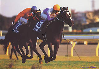 �W���p���J�b�v