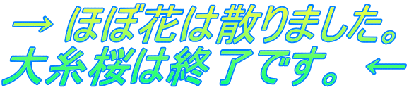 �� �قډԂ͎U��܂����B �厅���͏I���ł��B ��