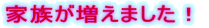 �Ƒ��������܂����I