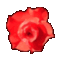logo1000.GIF