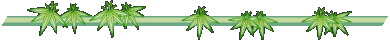 logo3.gif